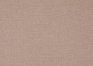 Bainbridge 12 Champagne swatch