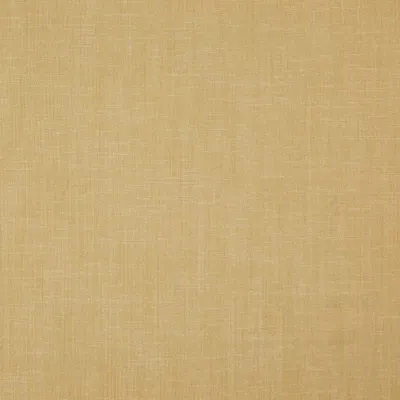 Baltic 25 Biscuit swatch