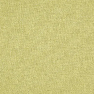 Braemar 23 Pistachio swatch