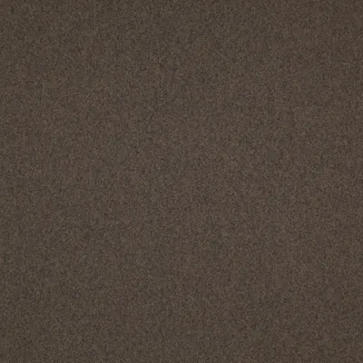 Brodie 11 Coffee swatch