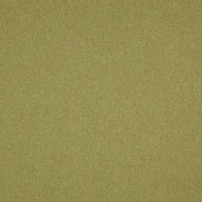 Brodie 18 Meadow swatch
