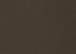 Capella 02 swatch