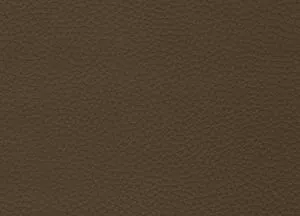 Capella 03 swatch