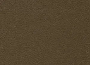 Capella 04 swatch