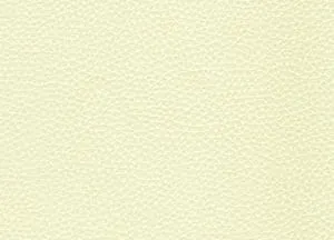 Capella 17 swatch