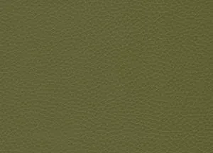 Capella 23 swatch