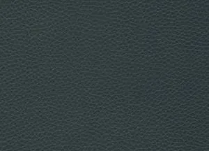 Capella 26 swatch