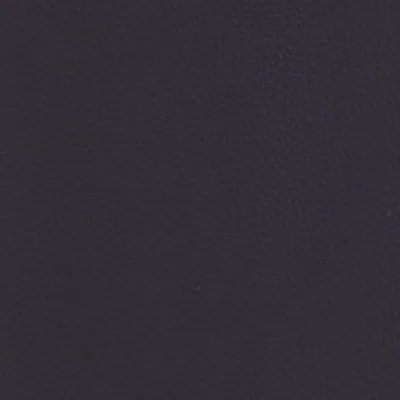 Capella 29 swatch