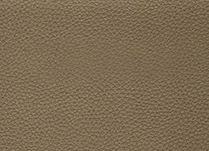 Capella 34 swatch