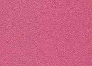 Capella 39 swatch