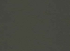 Capella 41 swatch