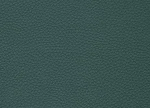 Capella 47 swatch