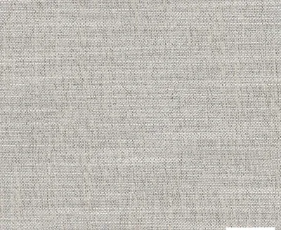 Cara 09 Mushroom swatch