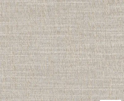 Cara 12 Coconut swatch