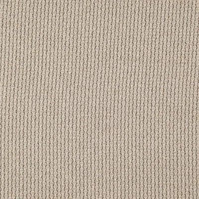 Caroni 02 Harvest swatch