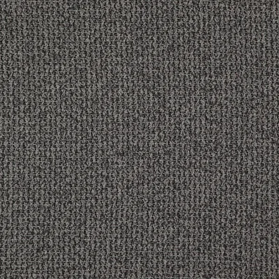 Caroni 03 Peppercorn swatch