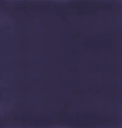 Columbia 18 Grape swatch
