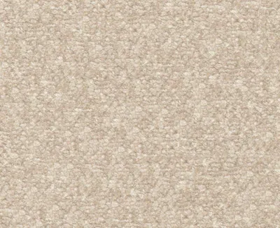 Cozy 11 Blush Taupe swatch