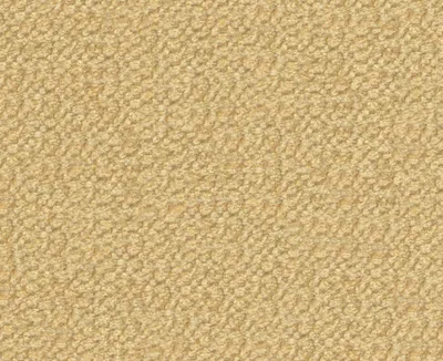 Cozy 20 Biscotti swatch