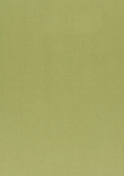 Crystal 08 Lime swatch