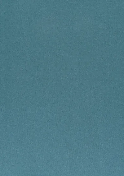 Crystal 13 Blue Steel swatch