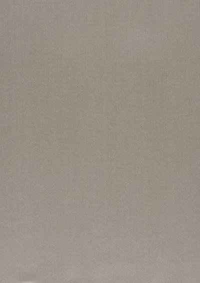 Crystal 18 Feather Grey swatch