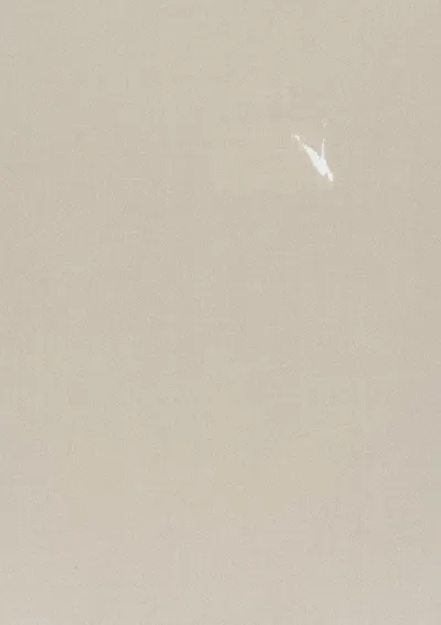 Crystal 22 Oyster swatch