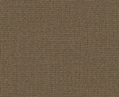 Dream 23 Brown swatch