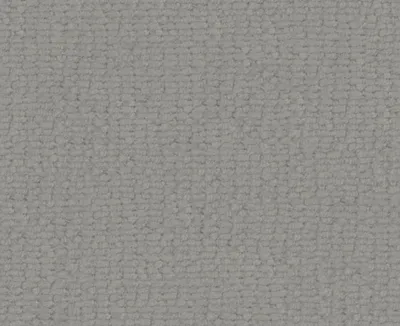 Dream 28 Silver swatch