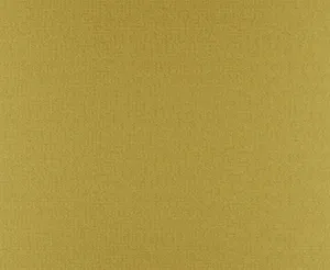 Etiva 17 Sunshine swatch