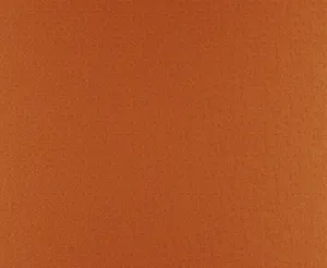 Etiva 30 Pumpkin swatch