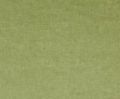 Fiora 18 Grass swatch