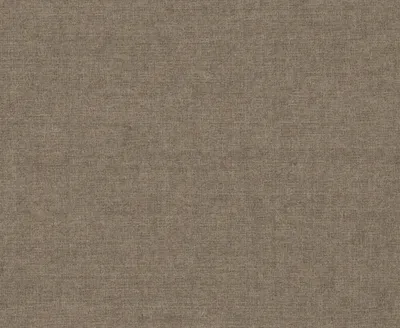 Fiora II 51 Driftwood swatch
