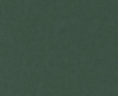 Granada 08 Evergreen swatch