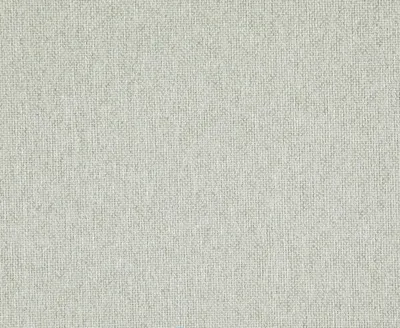 Healy 16 Ash swatch