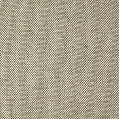 Hercules 13 Latte swatch