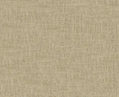 Hutton II 44 Raffia swatch