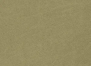 Idaho 02 Putty swatch