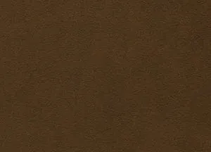 Idaho 04 Hazel swatch