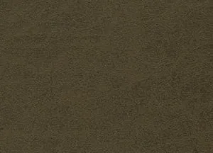 Idaho 06 Java swatch