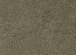 Idaho 07 Ash swatch