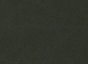 Idaho 11 Jet swatch
