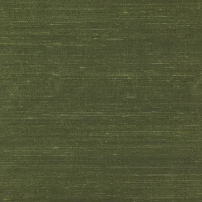Komodo Silk 126 Olive swatch