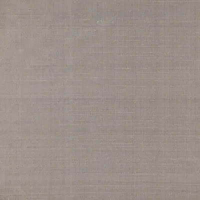 Komodo Silk 167 Feather Grey swatch