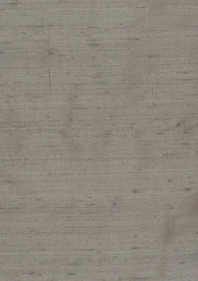 Komodo Silk 168 Ash swatch