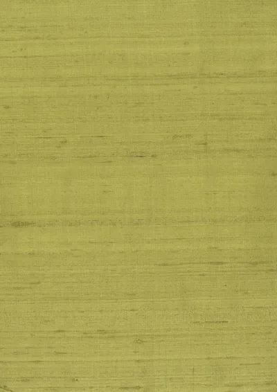 Komodo Silk 220 Lime swatch