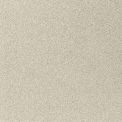 Lush 04 Bone swatch