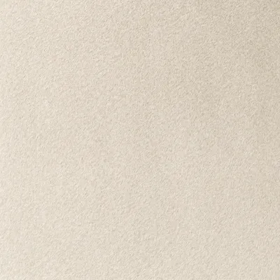 Lush 07 Champagne swatch