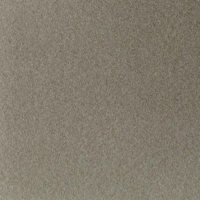 Lush 16 Khaki swatch