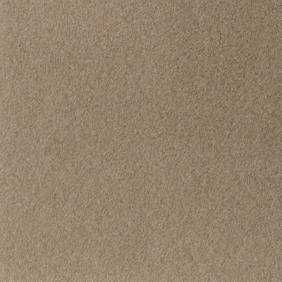 Lush 17 Fawn swatch